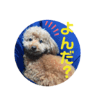 プリンの日常〜（個別スタンプ：10）