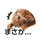 プリンの日常〜（個別スタンプ：11）