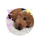 プリンの日常〜（個別スタンプ：14）