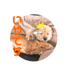 プリンの日常〜（個別スタンプ：15）