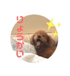 プリンの日常〜（個別スタンプ：20）