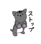 ねこくる（個別スタンプ：4）