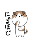 ねこくる（個別スタンプ：8）
