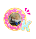 ポメラニアンファミリー♪（個別スタンプ：10）