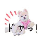 ポメラニアンのらら（個別スタンプ：34）