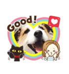 ジャックラッセル虎ノ介（個別スタンプ：6）