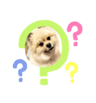 らきヲのまいにちスタンプ（個別スタンプ：1）