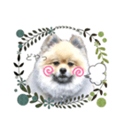 らきヲのまいにちスタンプ（個別スタンプ：2）
