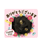 みいちゃんとお友達（個別スタンプ：4）