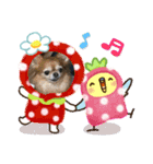 みいちゃんとお友達（個別スタンプ：5）