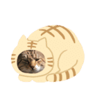 みいちゃんとお友達（個別スタンプ：10）