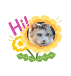 みいちゃんとお友達（個別スタンプ：16）