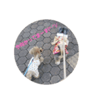 チワプートイプー（個別スタンプ：12）