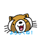 たぬきのキュッピ  2（個別スタンプ：3）