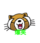 たぬきのキュッピ  2（個別スタンプ：5）
