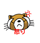たぬきのキュッピ  2（個別スタンプ：13）