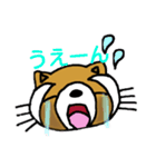 たぬきのキュッピ  2（個別スタンプ：19）