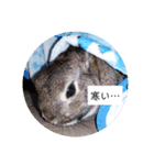 江太郎すたんぷ（個別スタンプ：6）