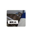 江太郎すたんぷ（個別スタンプ：7）