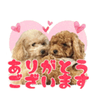 我らがペット大集合（個別スタンプ：1）