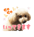 我らがペット大集合（個別スタンプ：6）