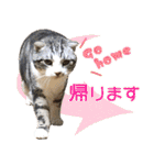 我らがペット大集合（個別スタンプ：8）