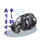 我らがペット大集合（個別スタンプ：10）