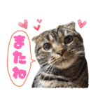 我らがペット大集合（個別スタンプ：16）