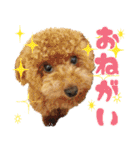 我らがペット大集合（個別スタンプ：22）