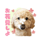 我らがペット大集合（個別スタンプ：27）