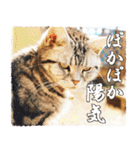 我らがペット大集合（個別スタンプ：28）