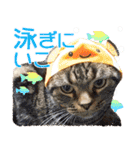 我らがペット大集合（個別スタンプ：29）