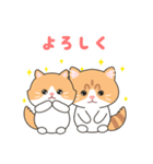 子猫カップル つくしとあんず（個別スタンプ：4）