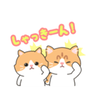 子猫カップル つくしとあんず（個別スタンプ：7）