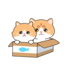 子猫カップル つくしとあんず（個別スタンプ：8）