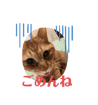 M‘sにゃんこ2（個別スタンプ：7）