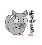 チンチラフレンズ（個別スタンプ：1）