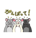 チンチラフレンズ（個別スタンプ：2）