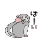 チンチラフレンズ（個別スタンプ：4）