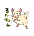 チンチラフレンズ（個別スタンプ：7）