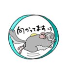チンチラフレンズ（個別スタンプ：17）