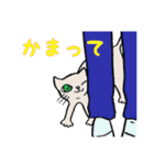 とある日の猫（個別スタンプ：6）
