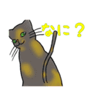 とある日の猫（個別スタンプ：10）