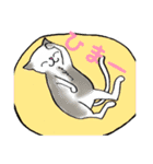 とある日の猫（個別スタンプ：13）