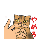 とある日の猫（個別スタンプ：18）