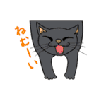 とある日の猫（個別スタンプ：23）
