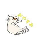 とある日の猫（個別スタンプ：24）