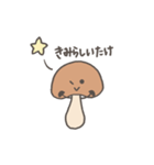 しいたけのスタンプ パステル（個別スタンプ：16）