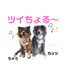 秋田犬カッツと茶羽の山口弁っちゃ 2（個別スタンプ：32）