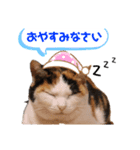 みんなのナナ様（個別スタンプ：5）